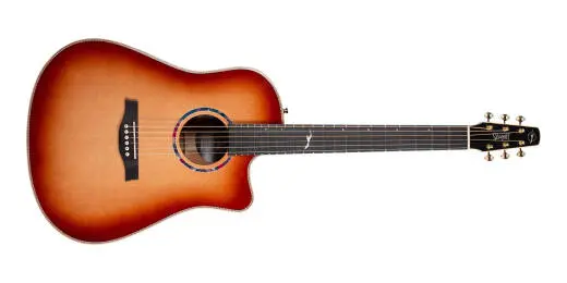 Seagull Guitars - Limited Edition Peppino DAgostino 30th Anniversary Acoustic Guitar
