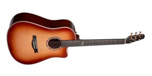 Limited Edition Peppino D\'Agostino 30th Anniversary Acoustic Guitar