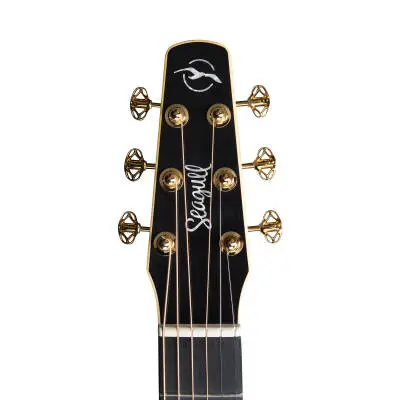 Limited Edition Peppino D\'Agostino 30th Anniversary Acoustic Guitar