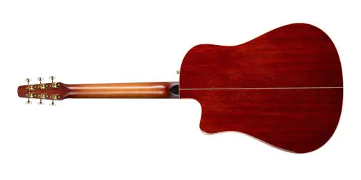 Limited Edition Peppino D\'Agostino 30th Anniversary Acoustic Guitar