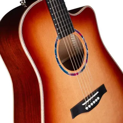 Limited Edition Peppino D\'Agostino 30th Anniversary Acoustic Guitar