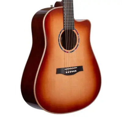 Limited Edition Peppino D\'Agostino 30th Anniversary Acoustic Guitar