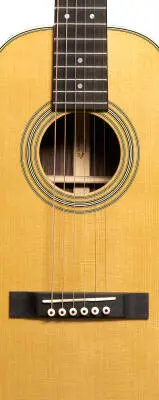 5-28 Terz Acoustic Guitar with Hardshell Case