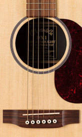 DX1AE Acoustic/Electric Guitar