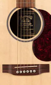 DX1RAE Acoustic/Electric Guitar