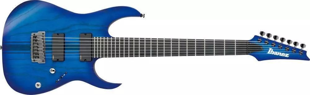 Ibanez Electric Guitar