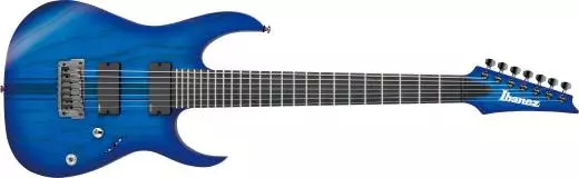 Ibanez Electric Guitar