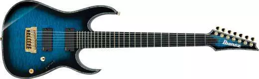 Ibanez Electric Guitar
