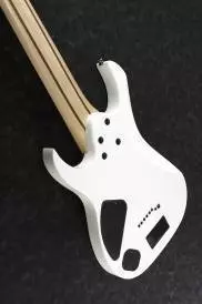 Ibanez Electric Guitar