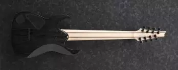 Ibanez Electric Guitar