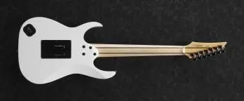 Ibanez Electric Guitar