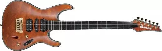 Ibanez Electric Guitar