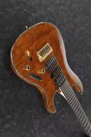 Ibanez Electric Guitar