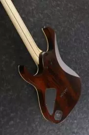 Ibanez Electric Guitar