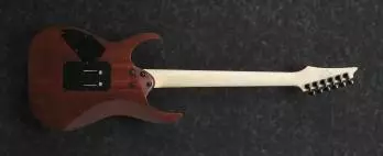 Ibanez Electric Guitar