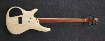 Ibanez Electric Bass