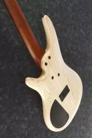 Ibanez Electric Bass