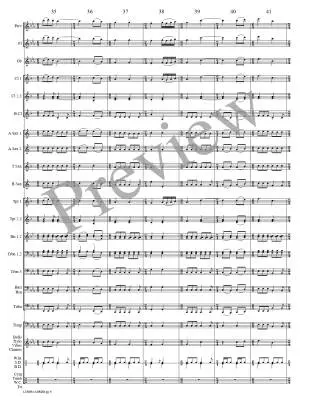 Lumina Cordis - Meeboer - Concert Band - Gr. 3
