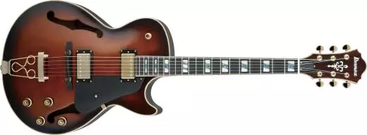 Ibanez Electric Guitar