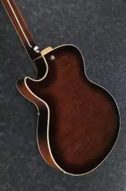 Ibanez Electric Guitar