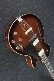 Ibanez Electric Guitar