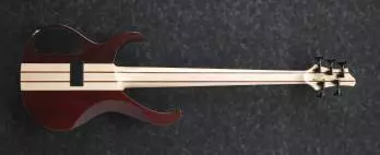 Ibanez Electric Bass