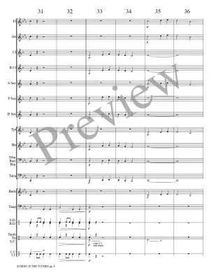Echoes in the Tundra - Meeboer - Concert Band - Gr. 0.5