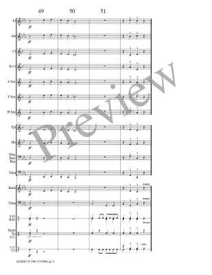 Echoes in the Tundra - Meeboer - Concert Band - Gr. 0.5