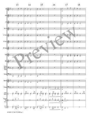 Echoes in the Tundra - Meeboer - Concert Band - Gr. 0.5