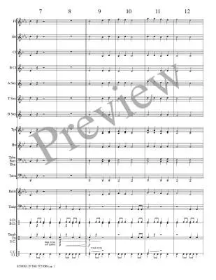 Echoes in the Tundra - Meeboer - Concert Band - Gr. 0.5