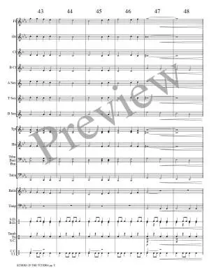 Echoes in the Tundra - Meeboer - Concert Band - Gr. 0.5