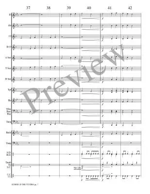 Echoes in the Tundra - Meeboer - Concert Band - Gr. 0.5