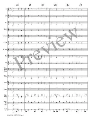 Echoes in the Tundra - Meeboer - Concert Band - Gr. 0.5