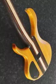 Ibanez Electric Bass