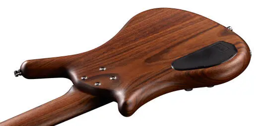 Pro Series Thumb BO Fretless 5-String Bass Guitar - Natural Transparent Satin