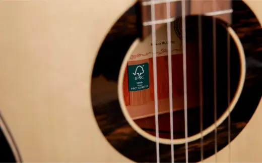 Alhambra Green Sustain Classical with Gig Bag