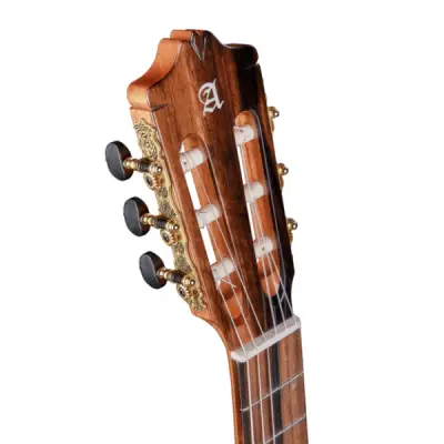 Alhambra Green Sustain Classical with Gig Bag