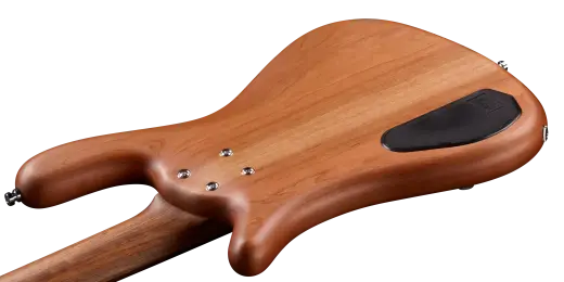 Pro Series Streamer LX 5-String Bass Guitar - Natural Transparent Satin