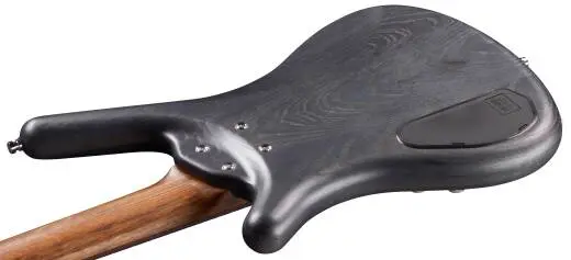 Pro Series Corvette $$ 5-String Bass Guitar - Nirvana Black Transparent Satin