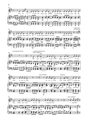 To the Distant Beloved Op. 98 - Beethoven/Luhning - Medium Voice/Piano - Book