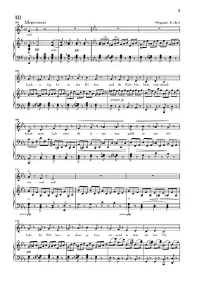 To the Distant Beloved Op. 98 - Beethoven/Luhning - Medium Voice/Piano - Book