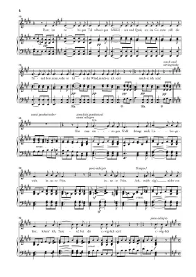 To the Distant Beloved Op. 98 - Beethoven/Luhning - Low Voice/Piano - Book