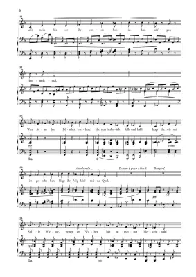 To the Distant Beloved Op. 98 - Beethoven/Luhning - Low Voice/Piano - Book
