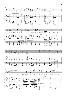 Four Serious Songs Op. 121 - Brahms/Behr - Vocal Score