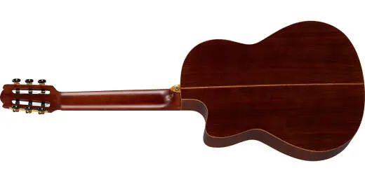 NCX5 Nylon String Acoustic/Electric Guitar with Gigbag