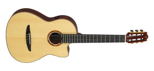 NCX5 Nylon String Acoustic/Electric Guitar with Gigbag