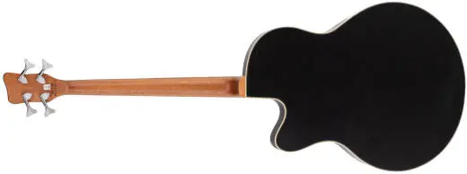 RockBass Alien Deluxe Fretless 4-String Acoustic-Electric Bass Guitar - Natural Transparent Satin