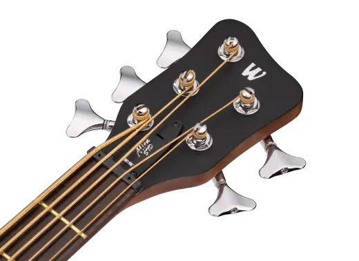 RockBass Alien Standard 5-String Acoustic-Electric Bass Guitar - Natural Transparent Satin