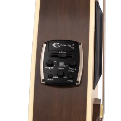 RockBass Alien Deluxe Hybrid Thinline Acoustic-Electric Bass Guitar - Natural Transparent Satin