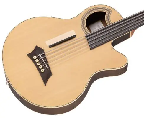 RockBass Alien Deluxe Hybrid Thinline Fretless 5-String Acoustic-Electric Bass Guitar - Natural Transparent Satin